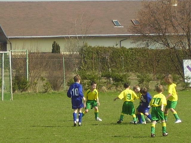 P1311144.JPG
